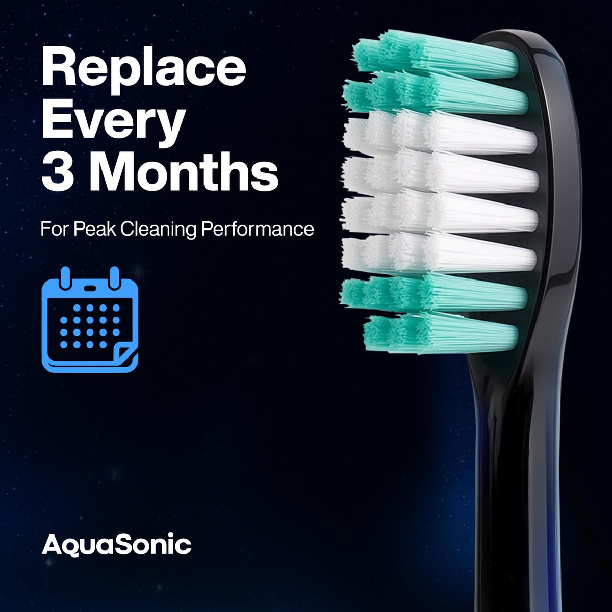 Black 2 Pack Replacement Brush Heads X580142