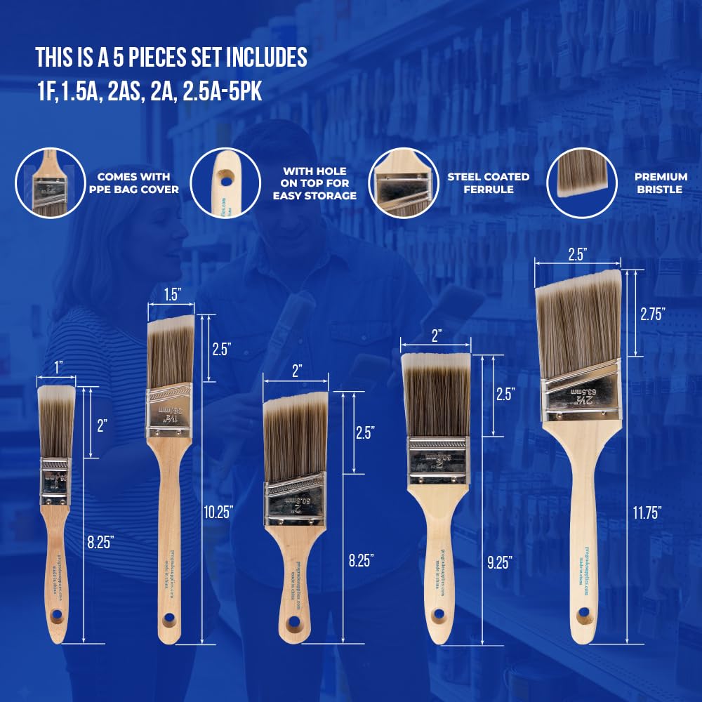 5-Piece Paint Brush Set N76195