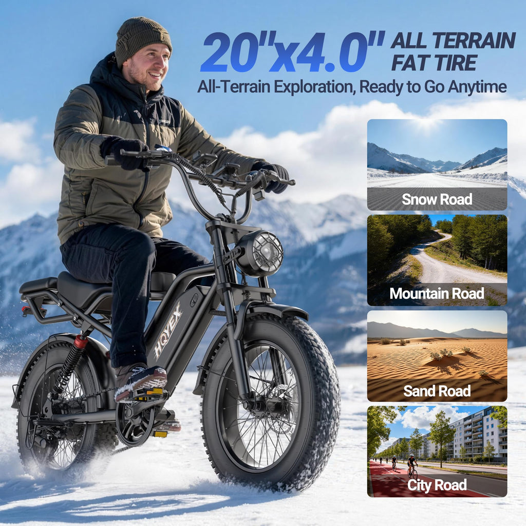 1500W 20" Fat Tire Electric Bike with 48V 20Ah Battery V647