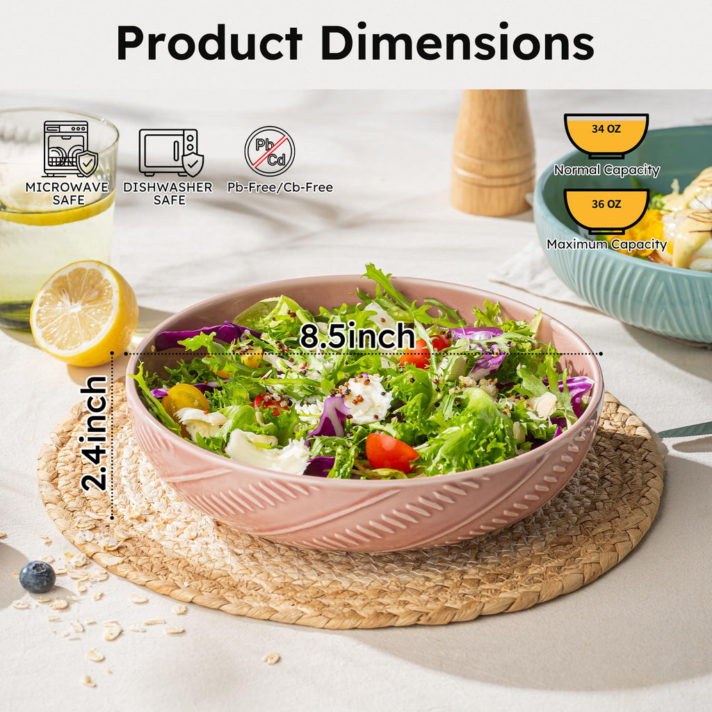8.5Inch 36OZ Ceramic Pasta Bowls Set of 4 F1655