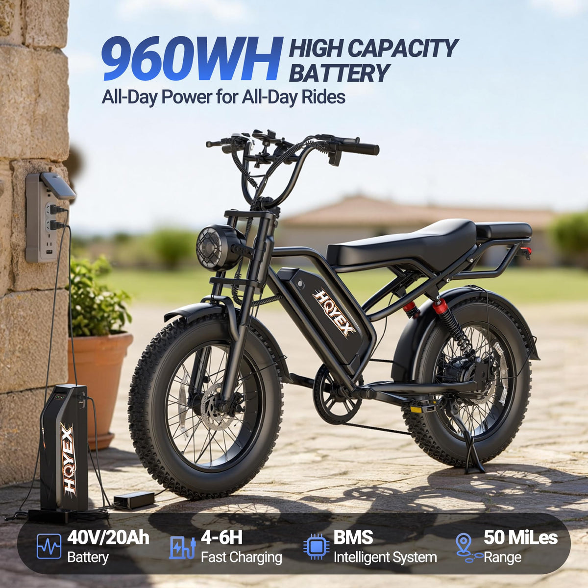 1500W 20" Fat Tire Electric Bike with 48V 20Ah Battery V647