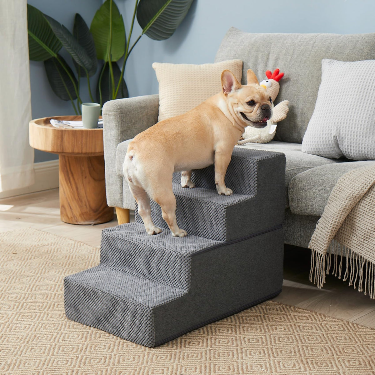 4-Step Grey Dog Stairs V35983