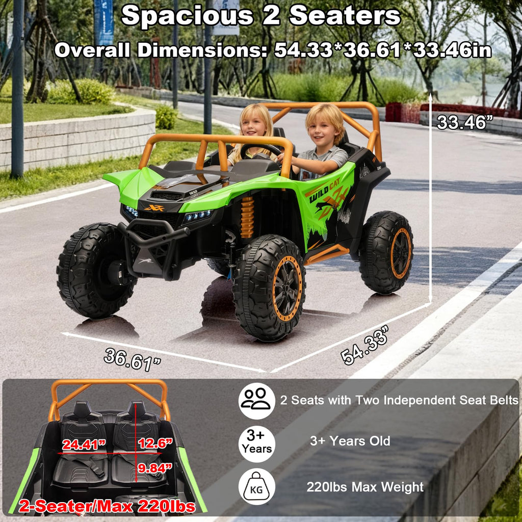 24V 2-Seater 4WD Kids Electric Ride On UTV M244