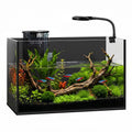 2 Gallon Fish Tank with Light and Filter J985