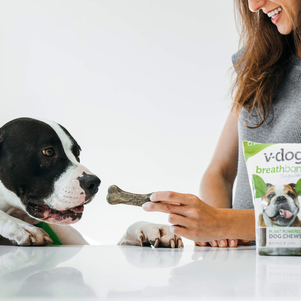 Vegan Dental Dog Bones 8 Ounces S814