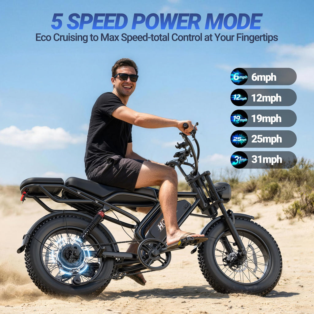 1500W 20" Fat Tire Electric Bike with 48V 20Ah Battery V647