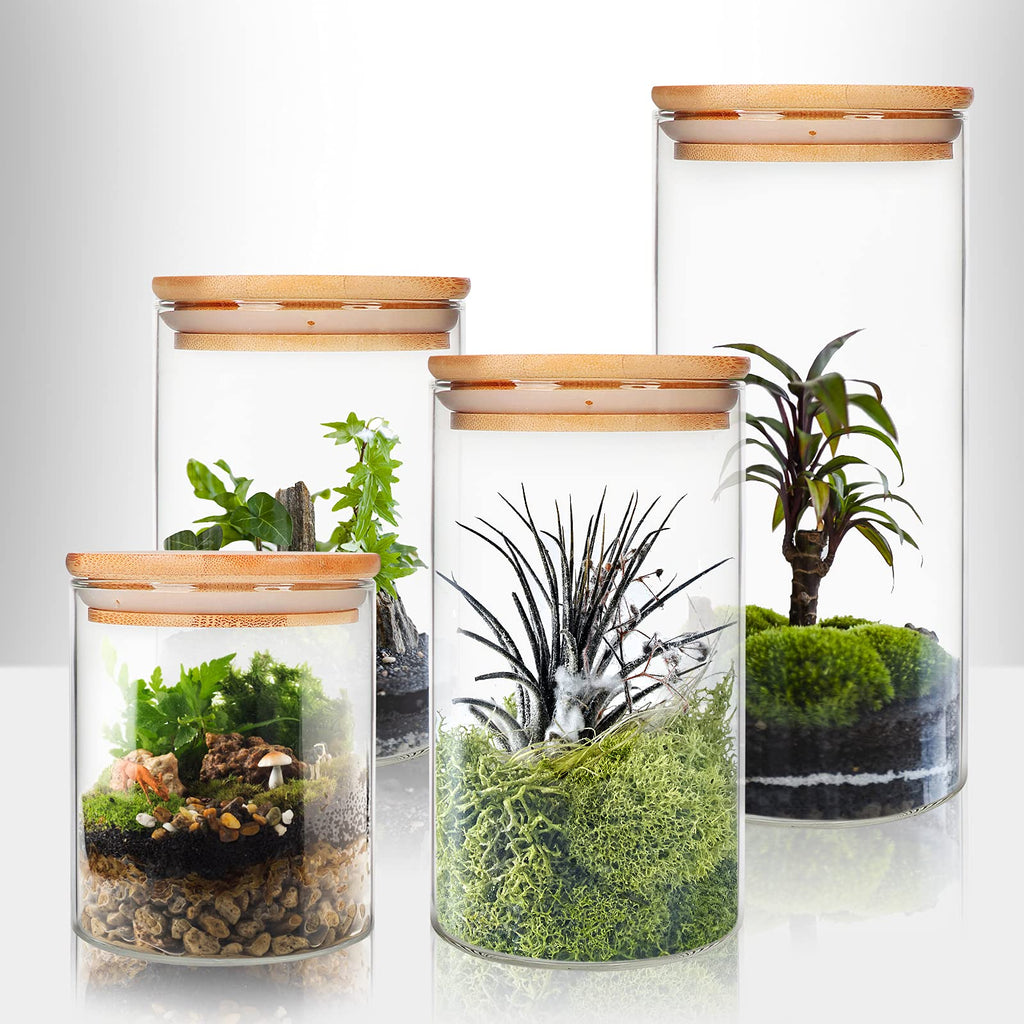 9 Pack 16 oz Glass Jars with Airtight Bamboo Lids R477