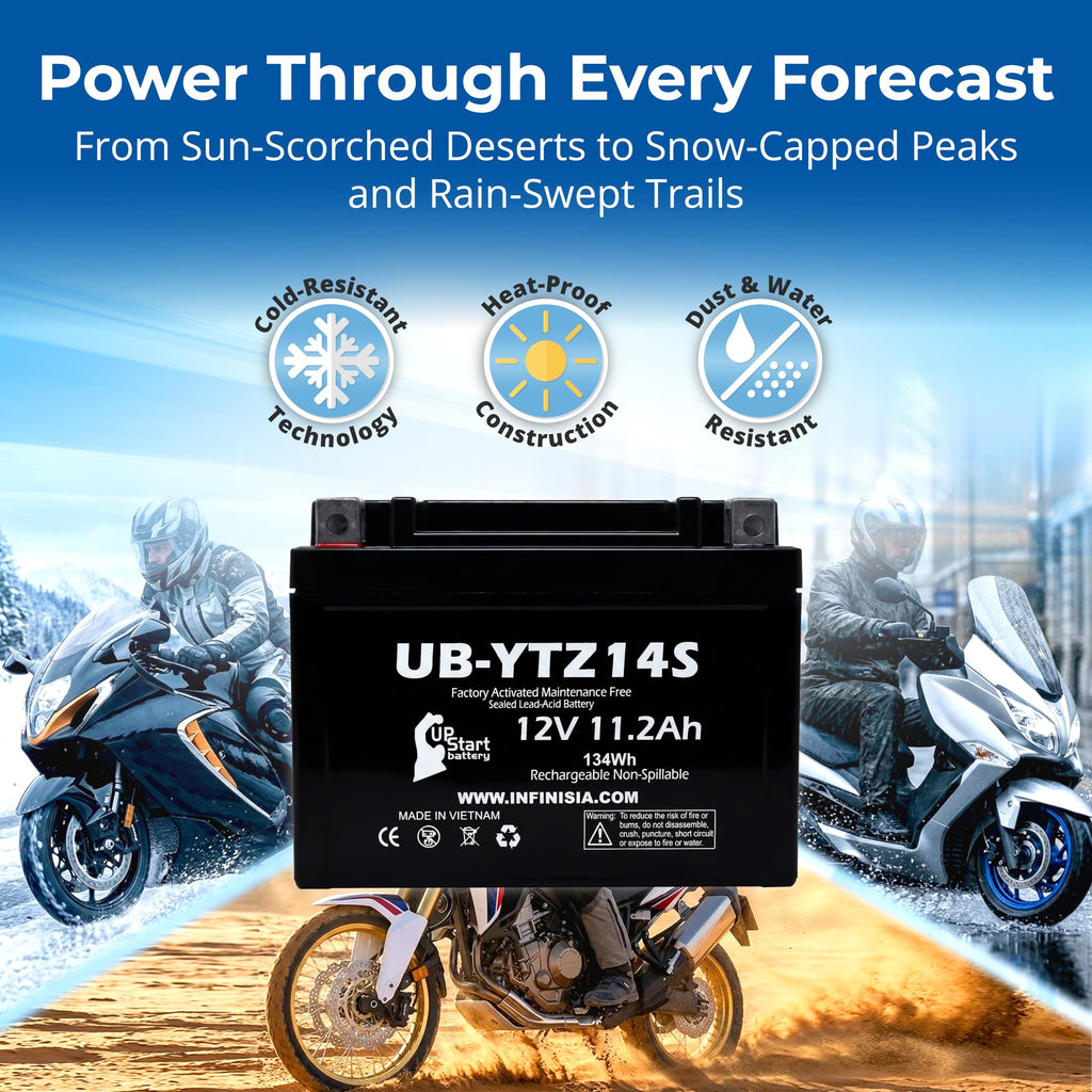 12V 11.2Ah Battery C1886